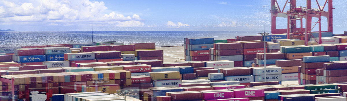 1656056115483061.jpg 海運內(nèi)頁配圖.jpg